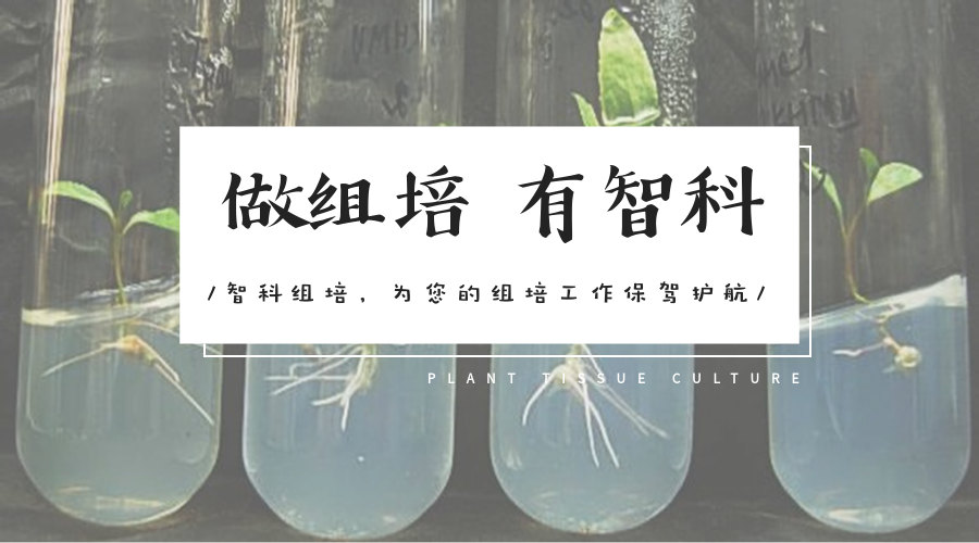 嶨O(sh)Ӌ(do)-20180725-182341.png